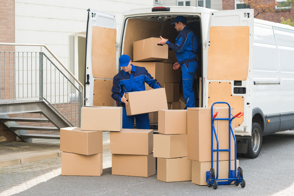 Packing And Unpacking Services